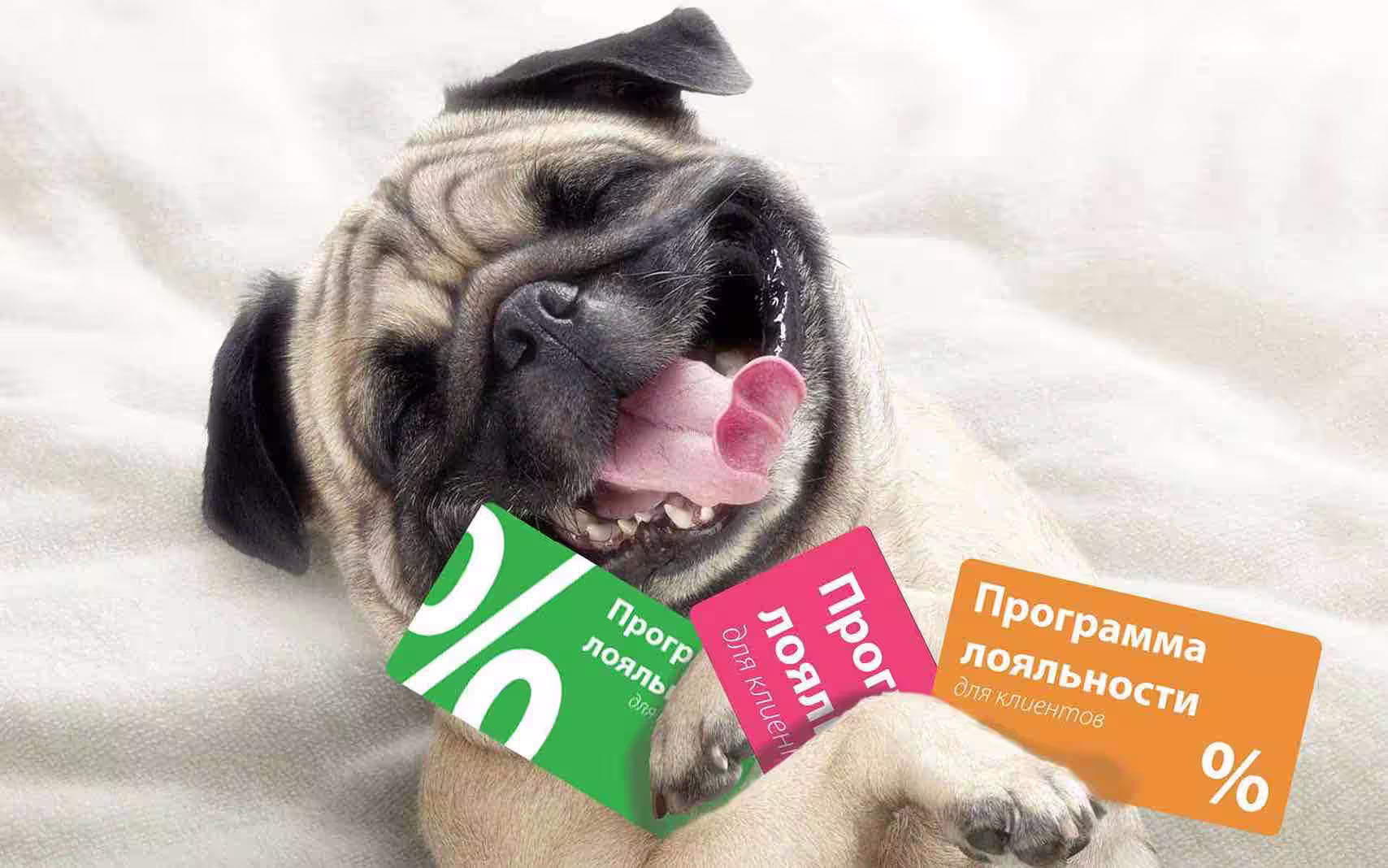 люблю кэшбэк