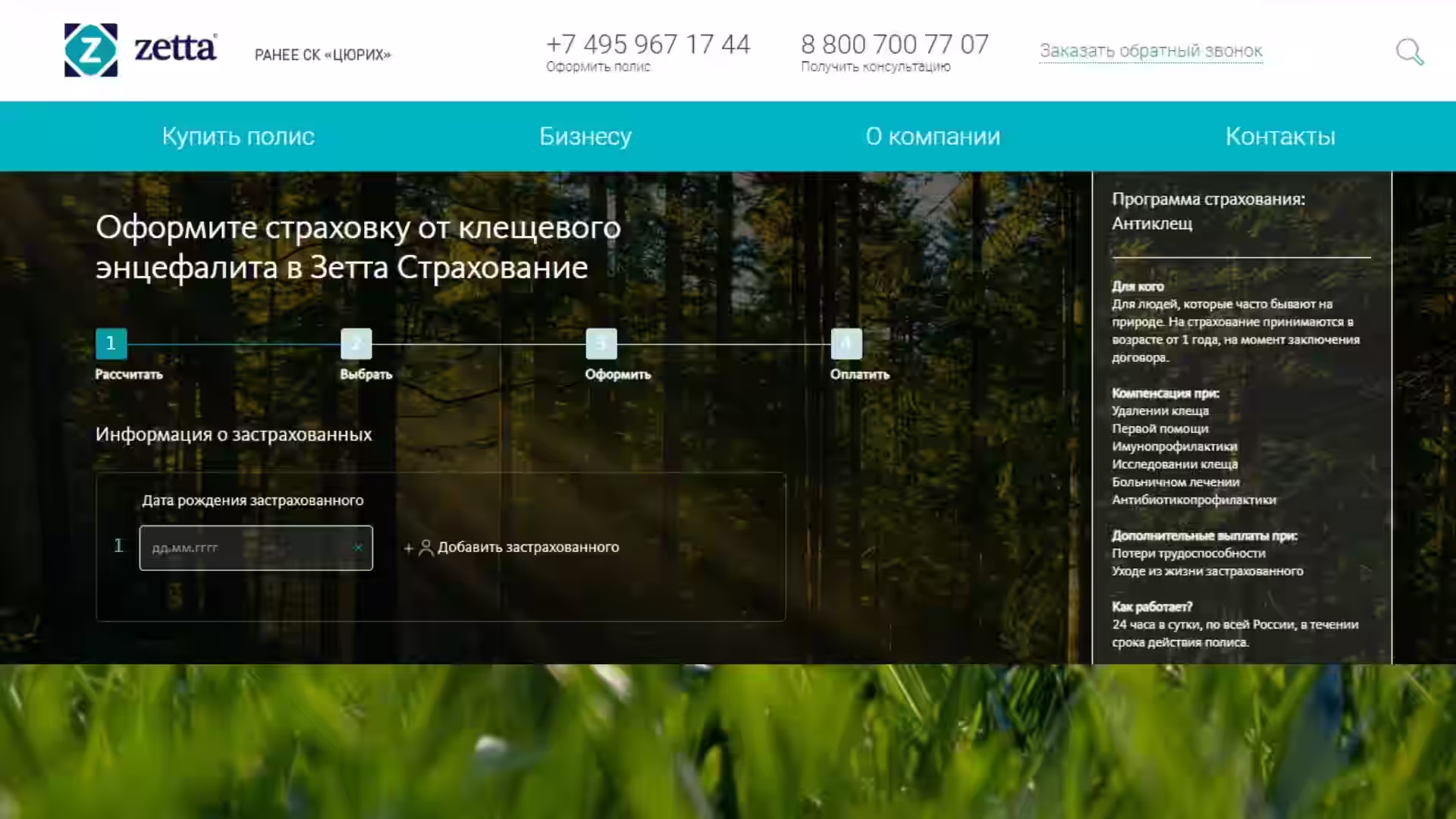 Страховка от клеща Онлайн. Где оформить? Зетта Страхование. Обзор