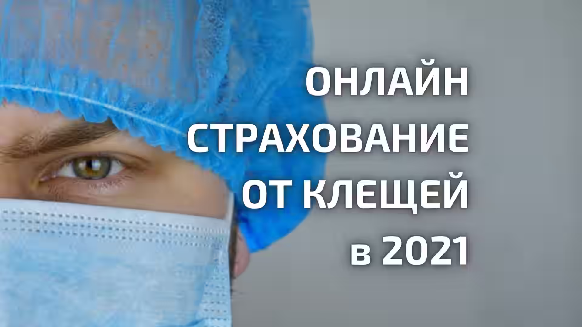 Страховка от клеща Онлайн. Где лучше оформить в 2021 году